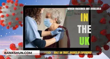 Vaccine Options in the UK: A Comprehensive Guide