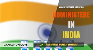 Vaccination Drive in India: A Comprehensive Guide to Available Vaccines