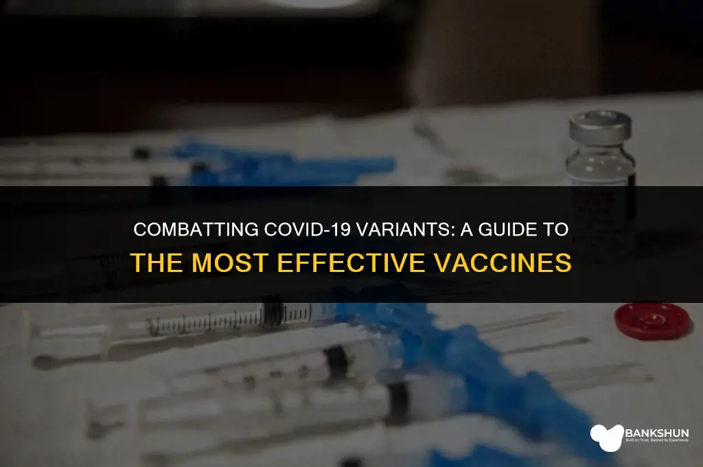 which vaccines are best against the variants