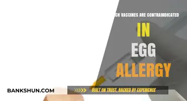 Navigating Egg Allergies: A Guide to Safe Vaccination Options