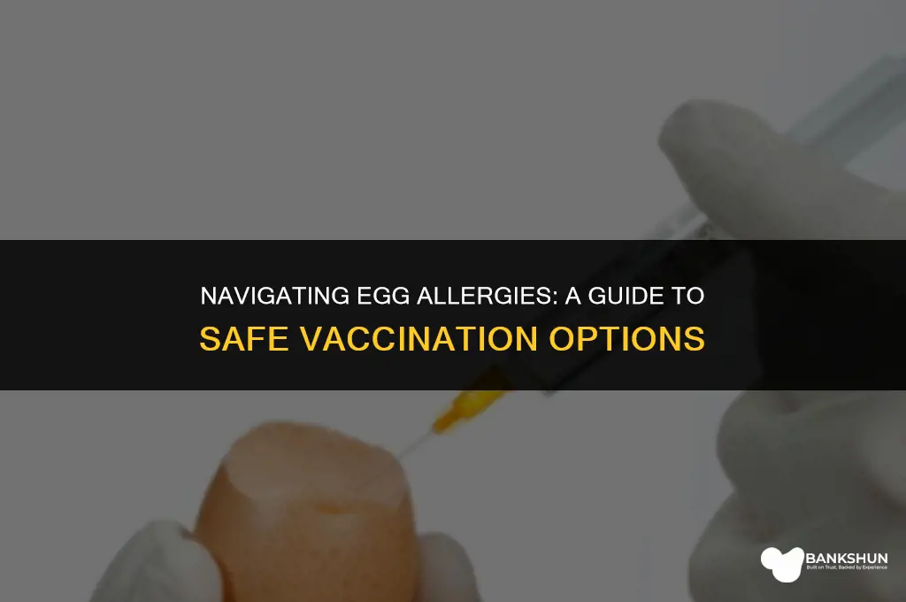 which vaccines are contraindicated in egg allergy