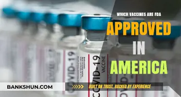FDA-Approved Vaccines in the USA: A Comprehensive Guide