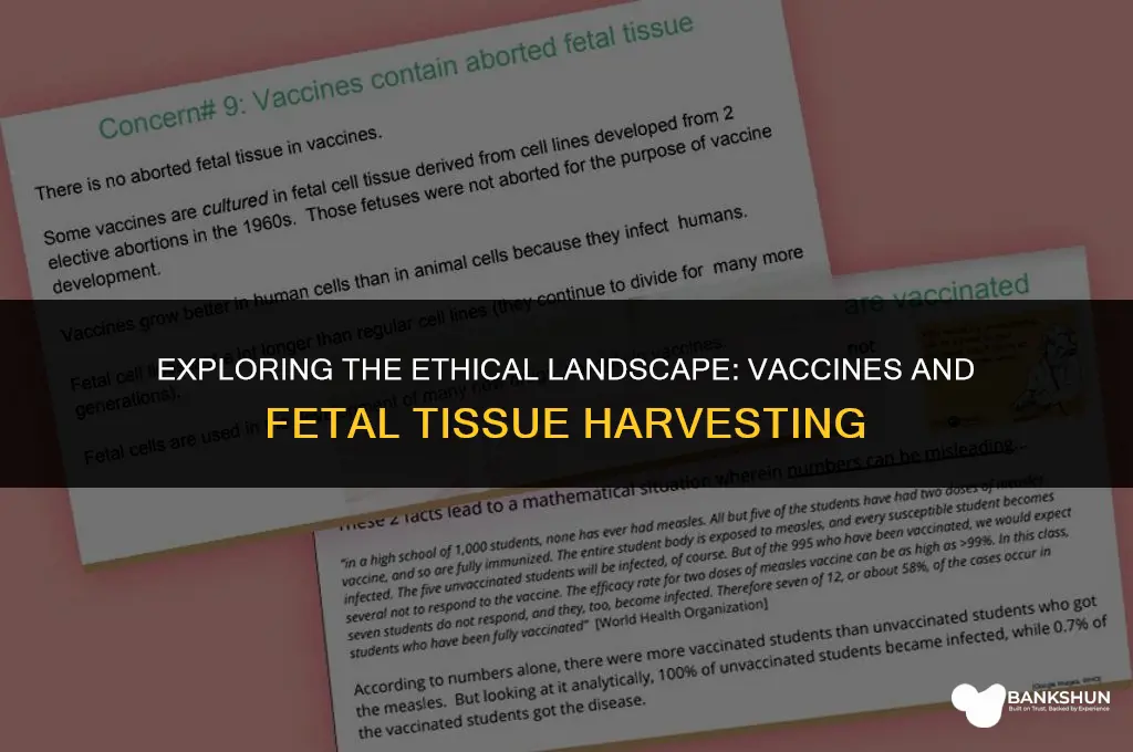 which vaccines are harvested in fetal tissue