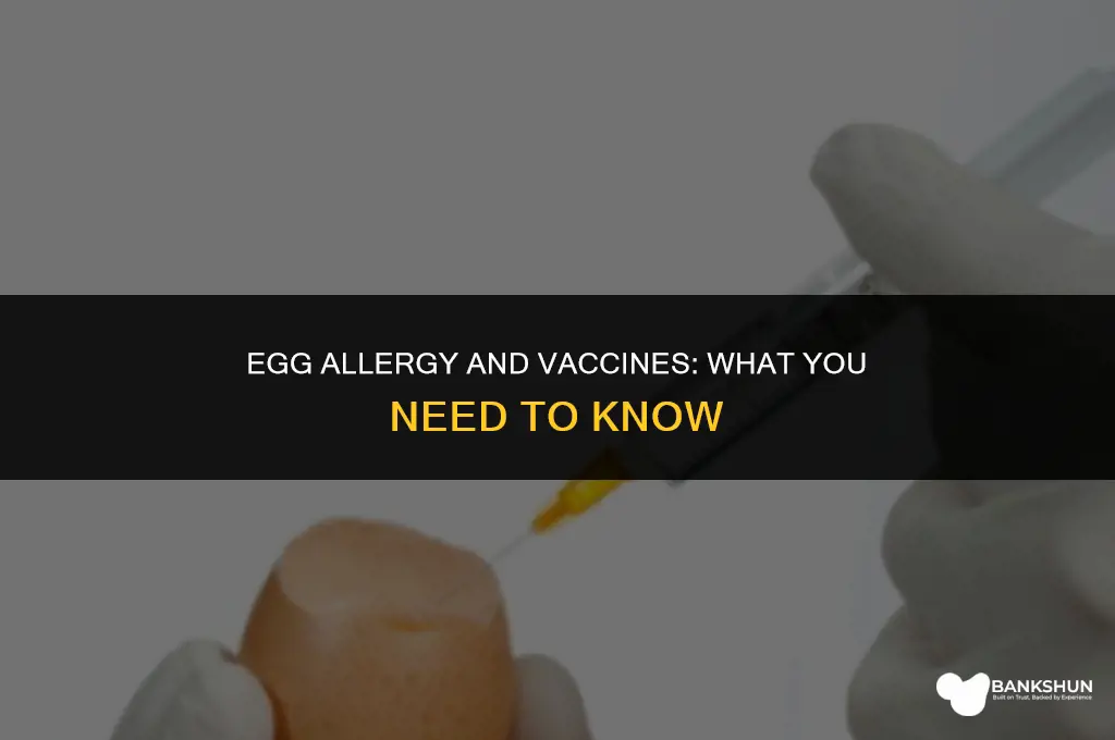 which vaccines are impacted by egg allergy
