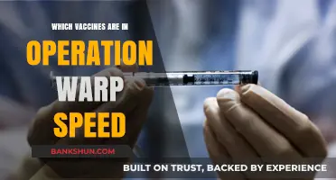 Accelerating Immunity: The Vaccines Leading Operation Warp Speed