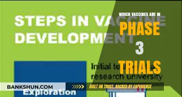 Advancements in Vaccine Development: Phase 3 Trials Overview