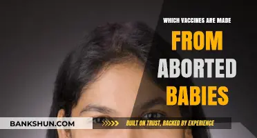 Unraveling Myths: The Truth About Vaccines and Fetal Cells