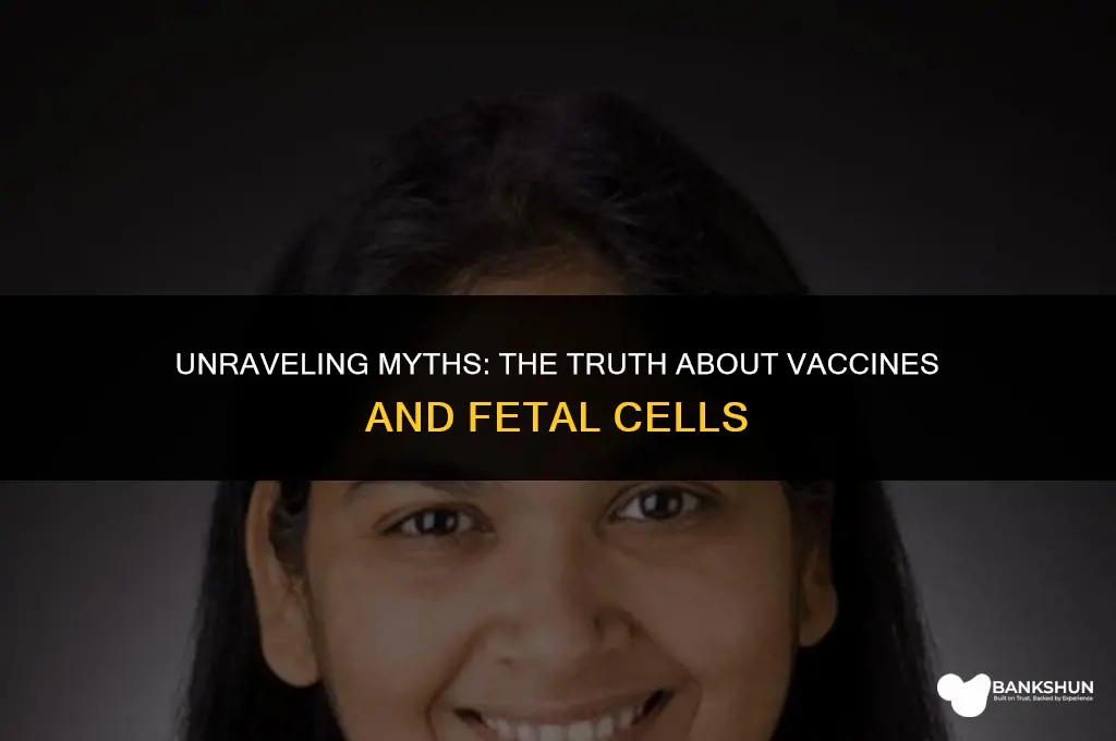 which vaccines are made from aborted babies