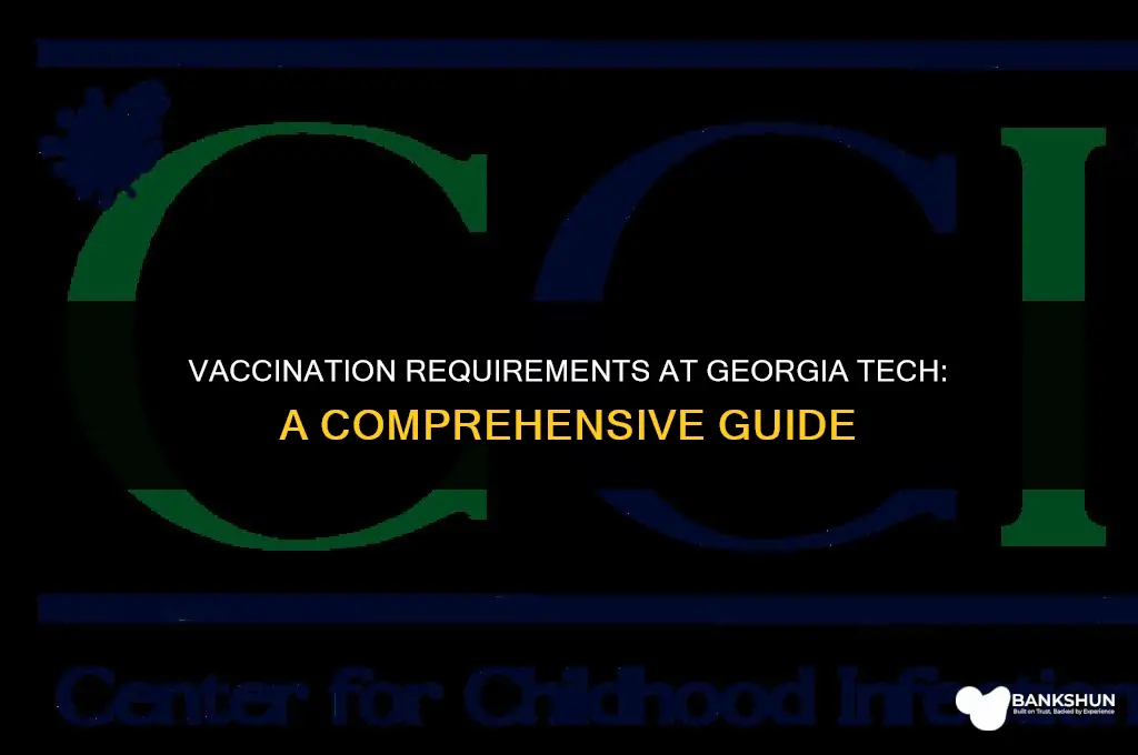 which vaccines are mandatory at ga tech