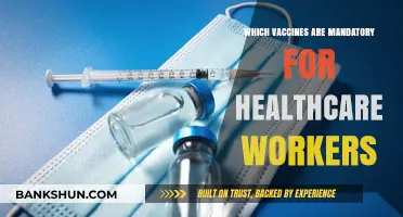 Essential Immunizations: A Guide to Mandatory Vaccines for Healthcare Workers