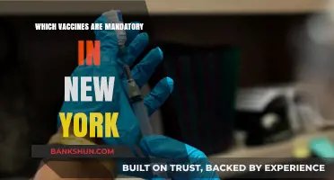 Essential Vaccines for New York Residents: A Comprehensive Guide