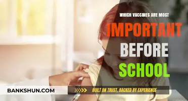 Essential Vaccines for School: Protecting Your Child's Health