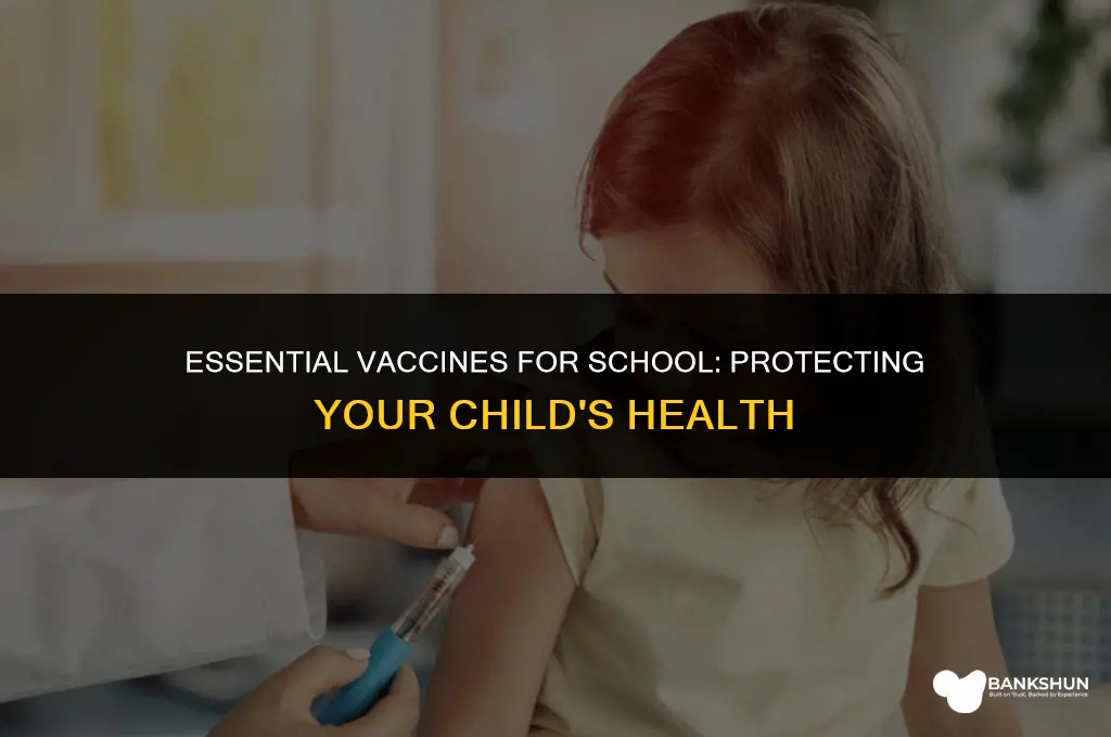 which vaccines are most important before school