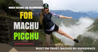 Essential Vaccines for a Safe Machu Picchu Adventure
