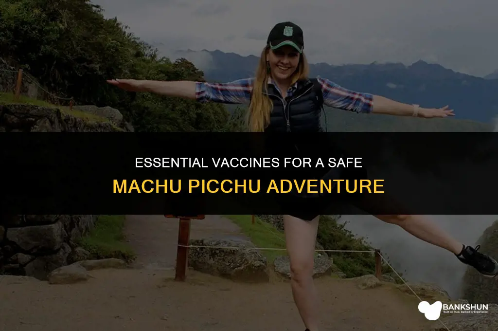 which vaccines are recommended for machu picchu