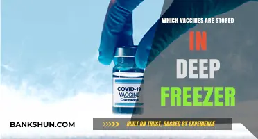 Ultra-Cold Storage: The Deep Freeze Guardians of Vaccine Integrity