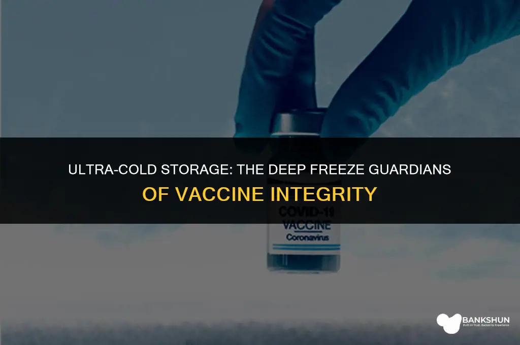 which vaccines are stored in deep freezer