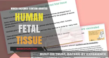 Exploring the Ethics: Vaccines and Aborted Human Fetal Tissue
