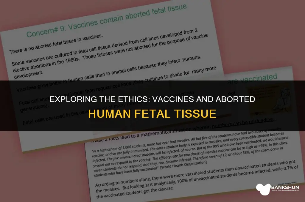 which vaccines contain aborted human fetal tissue