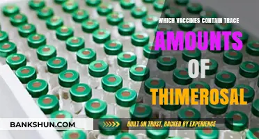 Trace Amounts of Thimerosal: A Comprehensive Guide to Vaccines