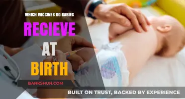 Essential Vaccines for Newborns: A Guide to Protecting Your Baby