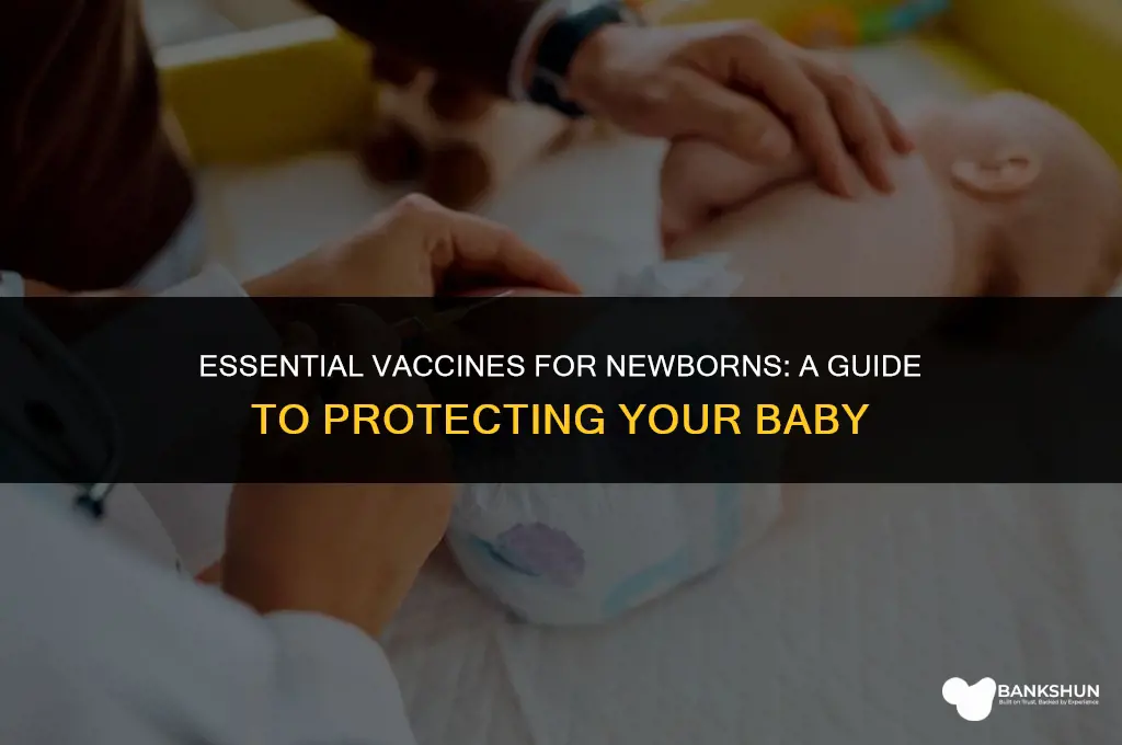 which vaccines do babies recieve at birth