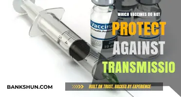 Vaccines and Transmission: Understanding the Limits of Protection