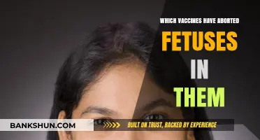 Unveiling the Truth: Vaccines and Aborted Fetal Cells