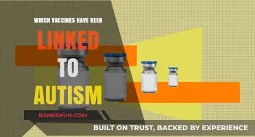 Exploring the Misinformation: Vaccines and Autism Claims Debunked
