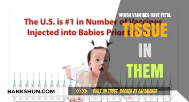 Exploring the Facts: Vaccines and Fetal Tissue Components