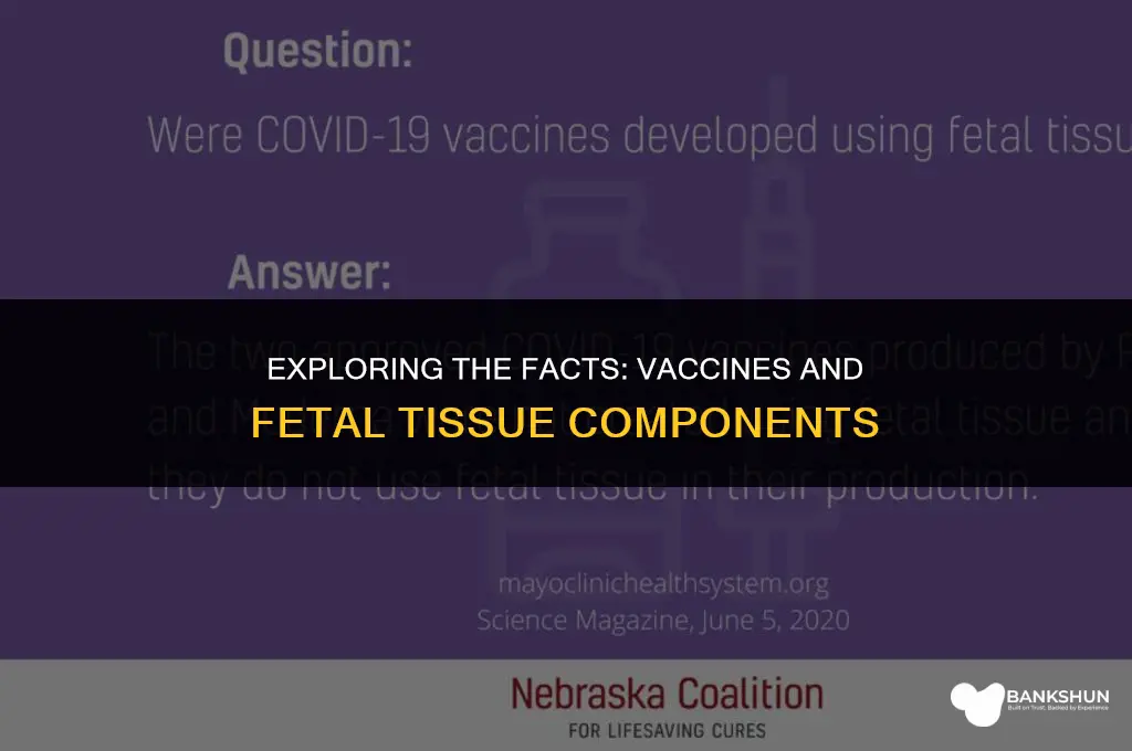 which vaccines have fetal tissue in them