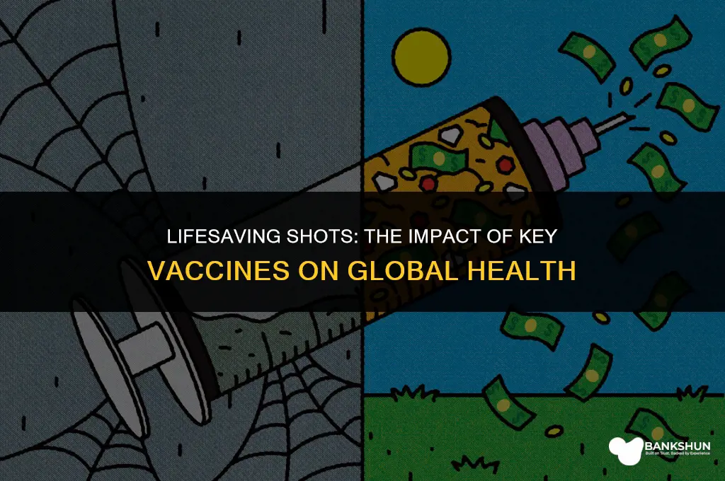 which vaccines have saved the most lives