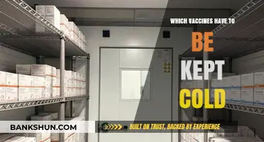 Chilling Facts: The Importance of Cold Storage for Vaccines