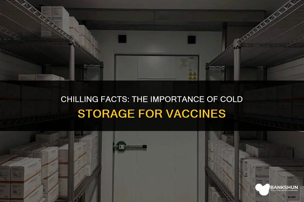 which vaccines have to be kept cold