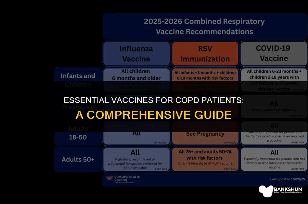 which vaccines should a copd patient recieve