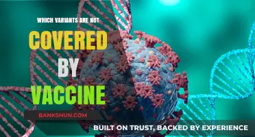 Exploring COVID-19 Variants: What's Not Covered by Current Vaccines?