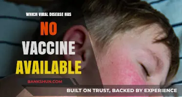 Exploring the Elusive: Viral Diseases Without a Vaccine