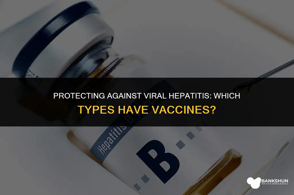 which viral hepatitis types are have vaccines