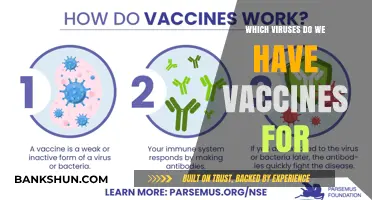 Combatting Viruses: A Comprehensive Guide to Available Vaccines