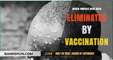 Triumphs in Public Health: Viruses Conquered by Vaccination