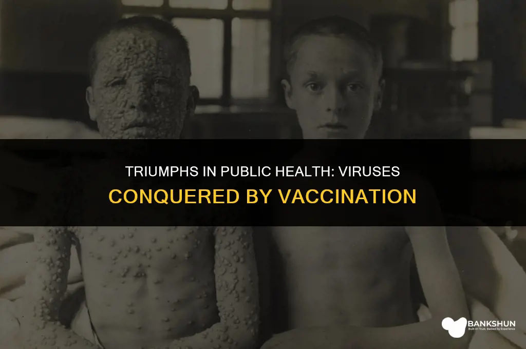 which viruses have been eliminated by vaccination