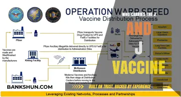 Exploring the Global Distribution of the J&J Vaccine: Who's Leading the Charge?