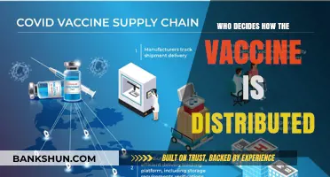 Navigating Vaccine Distribution: A Complex Web of Decision-Makers