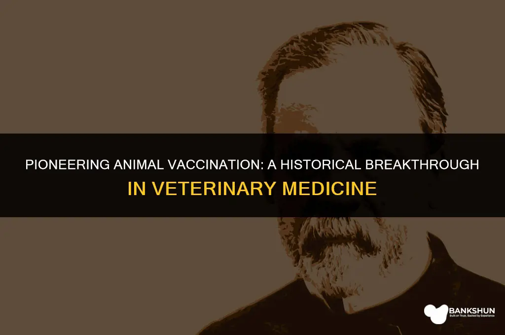 who developed a means of vaccinating animals