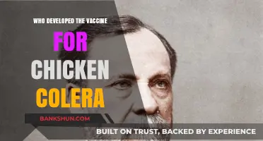 Pioneering Poultry Protection: The Story Behind the Chicken Cholera Vaccine