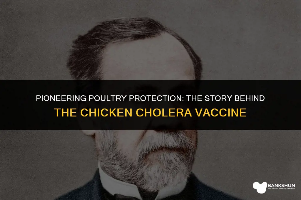 who developed the vaccine for chicken colera
