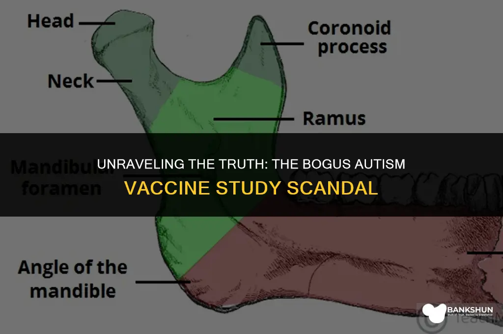 who did the fake autism vaccine study