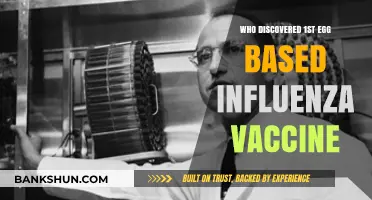 Pioneering Breakthrough: The Discovery of the First Egg-Based Influenza Vaccine