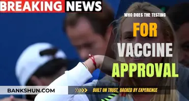 Who Conducts Vaccine Approval Testing: A Comprehensive Overview