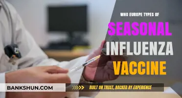 Exploring Seasonal Influenza Vaccines in Europe: Types and Recommendations